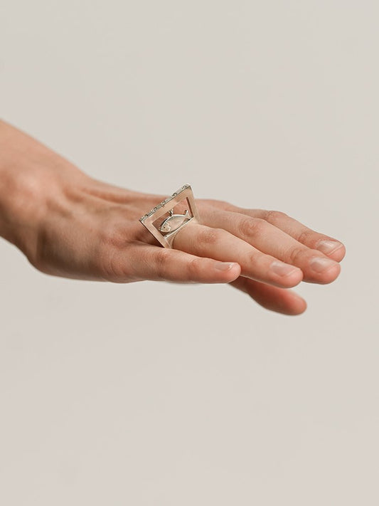 Aquarium Ring