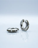 Earrings Hoops w Mossanite