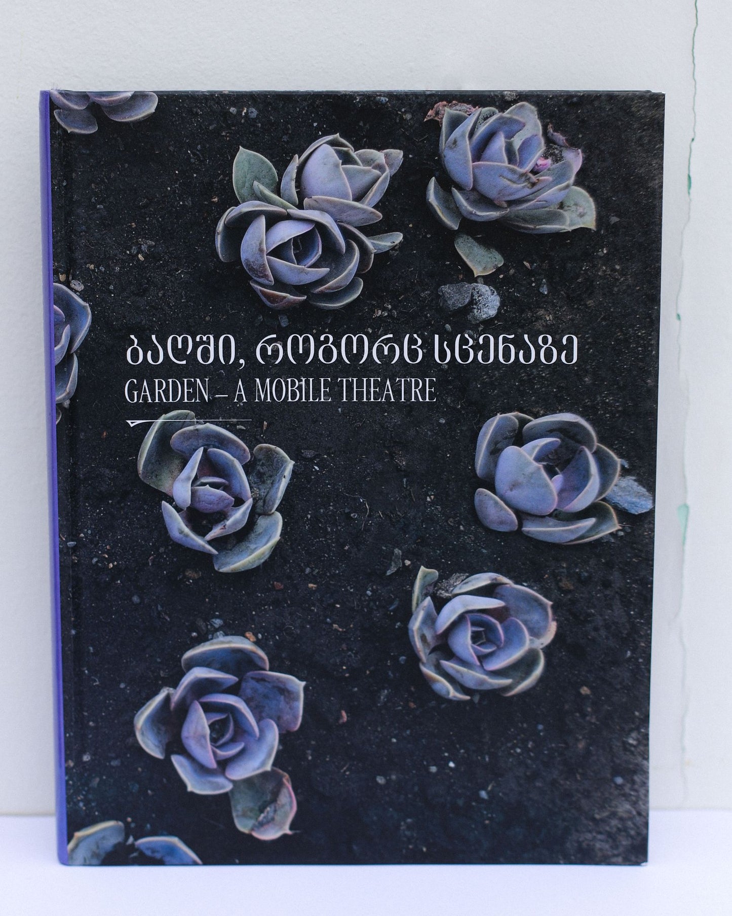 ბაღში როგორც სცენაზე