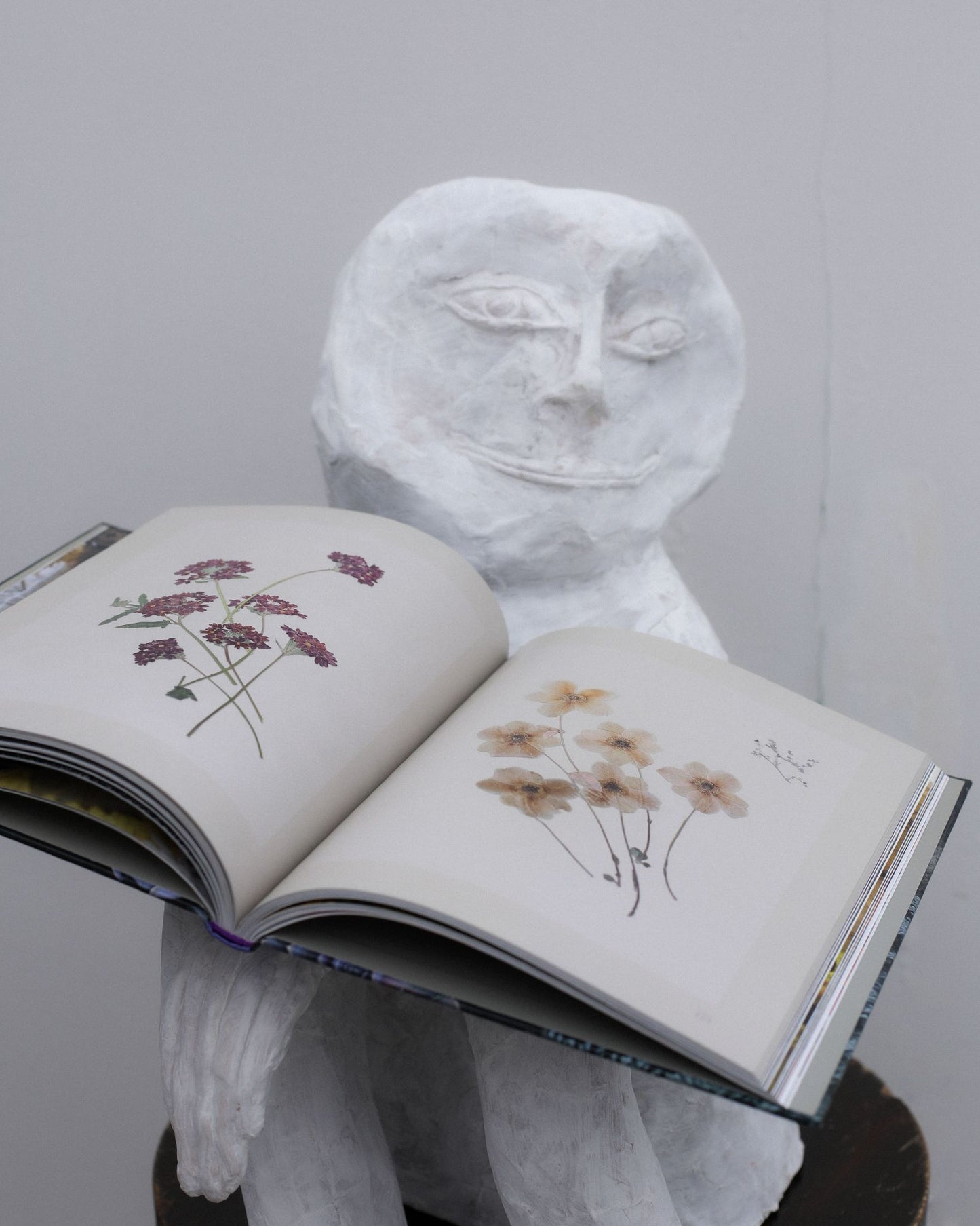 ბაღში როგორც სცენაზე