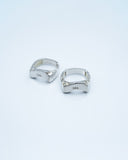 Ring Segnet